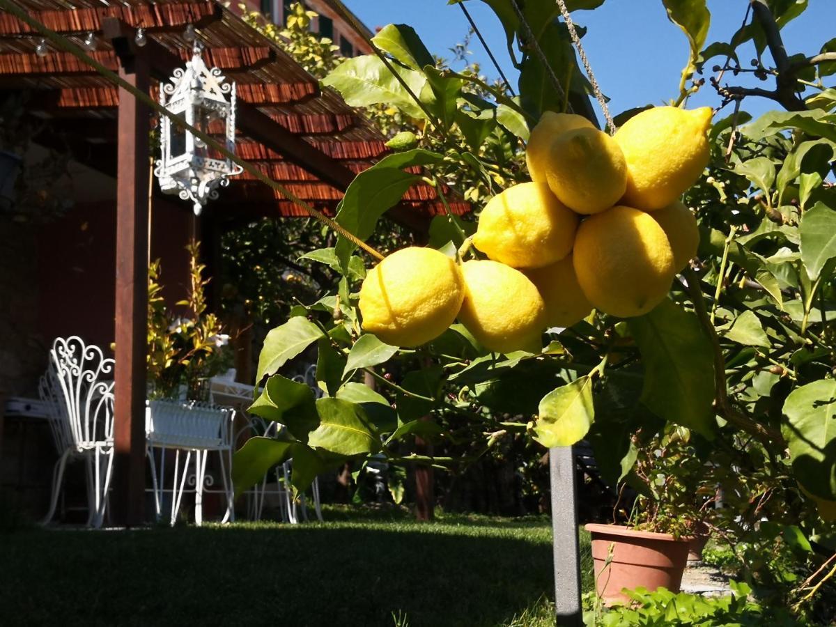 Florinda Lemon'S Suite Cervo Luaran gambar