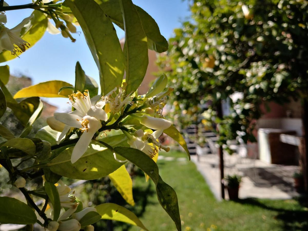 Florinda Lemon'S Suite Cervo Luaran gambar