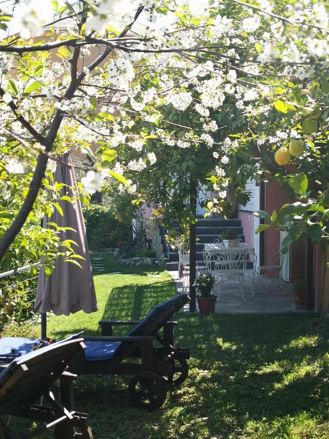 Florinda Lemon'S Suite Cervo Luaran gambar