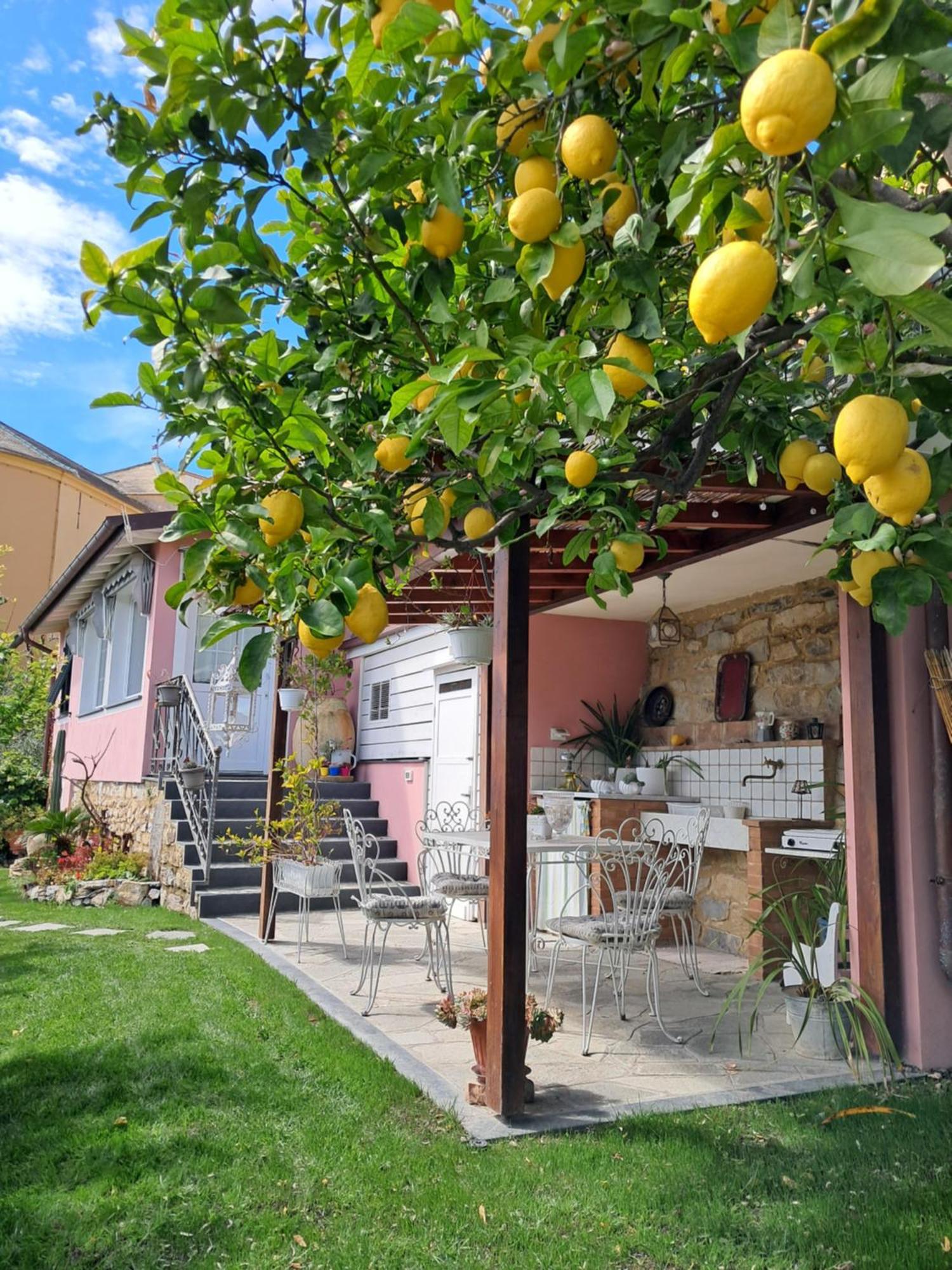 Florinda Lemon'S Suite Cervo Luaran gambar